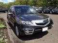 2010 Grigio Metallic Acura RDX SH-AWD  photo #3