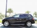 Black - ML 350 4Matic Photo No. 2