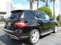 Black - ML 350 4Matic Photo No. 3