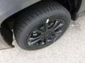 Mineral Gray Metallic - Compass Altitude 4x4 Photo No. 9