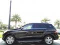 Black - ML 350 4Matic Photo No. 2