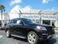 Black - ML 350 4Matic Photo No. 1