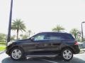 Black - ML 350 4Matic Photo No. 2