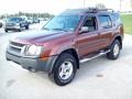 2002 Sedona Metallic Nissan Xterra SE V6 4x4  photo #11