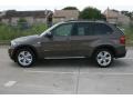 Sparkling Bronze Metallic - X5 xDrive 50i Photo No. 10