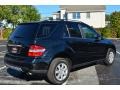 Black - ML 350 4Matic Photo No. 6