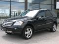 Black - ML 350 4Matic Photo No. 1