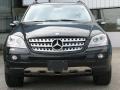 Black - ML 350 4Matic Photo No. 2