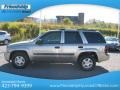 Light Pewter Metallic - TrailBlazer LS 4x4 Photo No. 2