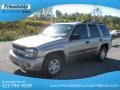 Light Pewter Metallic - TrailBlazer LS 4x4 Photo No. 3