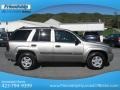 Light Pewter Metallic - TrailBlazer LS 4x4 Photo No. 6
