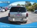 Light Pewter Metallic - TrailBlazer LS 4x4 Photo No. 8