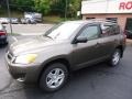 Pyrite Metallic - RAV4 I4 4WD Photo No. 2