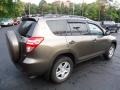 Pyrite Metallic - RAV4 I4 4WD Photo No. 11