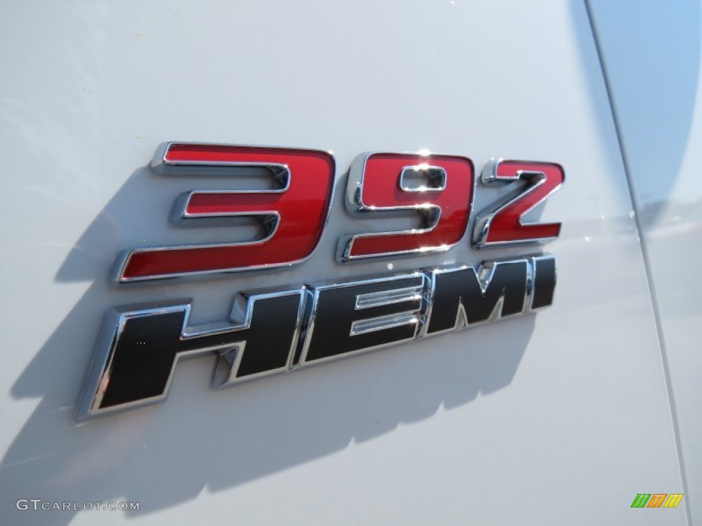 2013 Dodge Charger SRT8 Super Bee Marks and Logos Photo #72053843