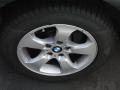 2007 BMW X3 3.0si Wheel and Tire Photo