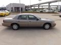 2006 Arizona Beige Metallic Ford Crown Victoria LX  photo #6