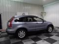 2007 Glacier Blue Metallic Honda CR-V EX-L  photo #7