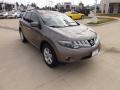 2009 Tinted Bronze Metallic Nissan Murano SL  photo #7