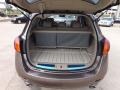 2009 Tinted Bronze Metallic Nissan Murano SL  photo #20