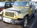 Commando Green - Wrangler Unlimited Sahara 4x4 Photo No. 1