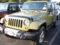 2013 Commando Green Jeep Wrangler Unlimited Sahara 4x4  photo #1