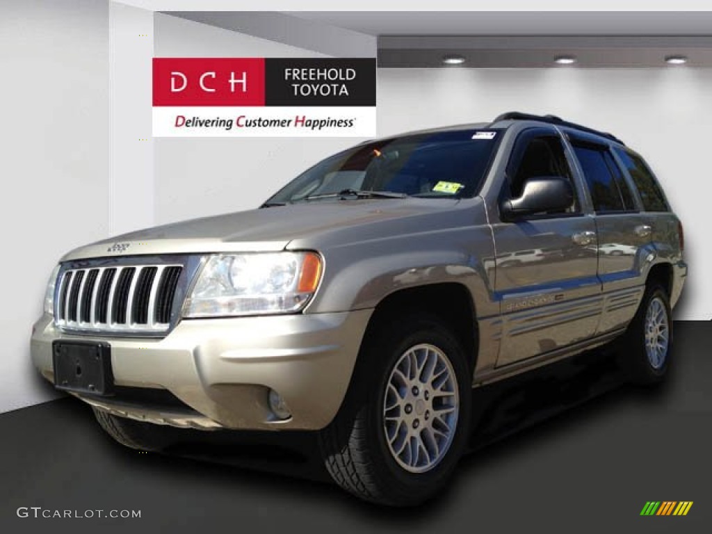 2004 Grand Cherokee Limited 4x4 - Light Pewter Metallic / Taupe photo #1