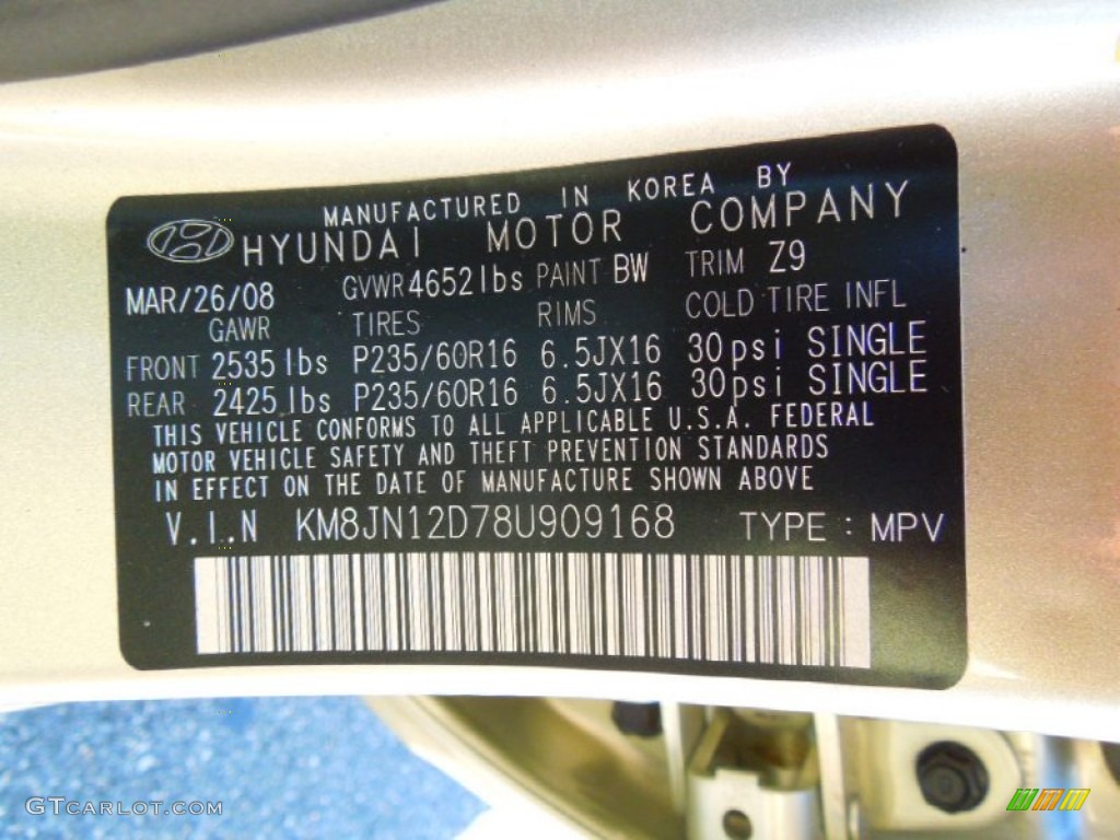 2008 Tucson Color Code BW for Desert Sage Photo #72066894