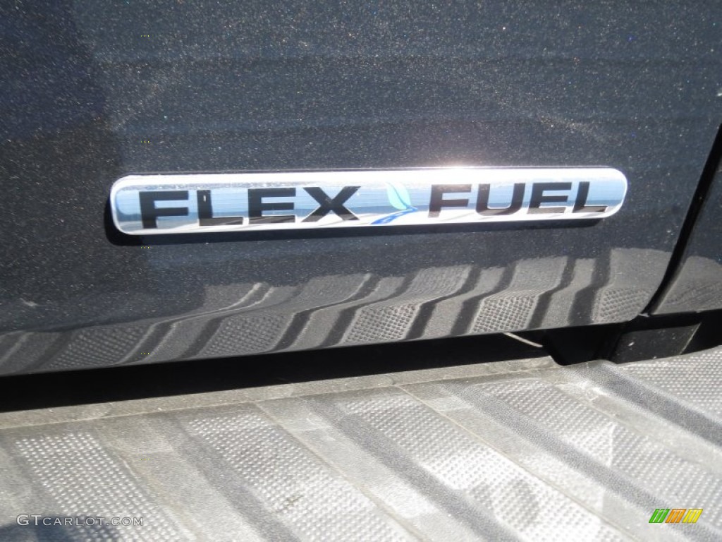 2013 Ford F150 Platinum SuperCrew 4x4 Marks and Logos Photo #72068122