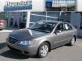 Willow Gray - Sonata GLS Photo No. 1