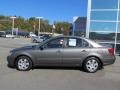 Willow Gray - Sonata GLS Photo No. 2