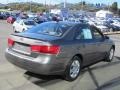 Willow Gray - Sonata GLS Photo No. 7