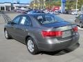 Willow Gray - Sonata GLS Photo No. 9