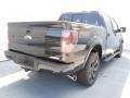 2013 Tuxedo Black Metallic Ford F150 FX4 SuperCrew 4x4  photo #3