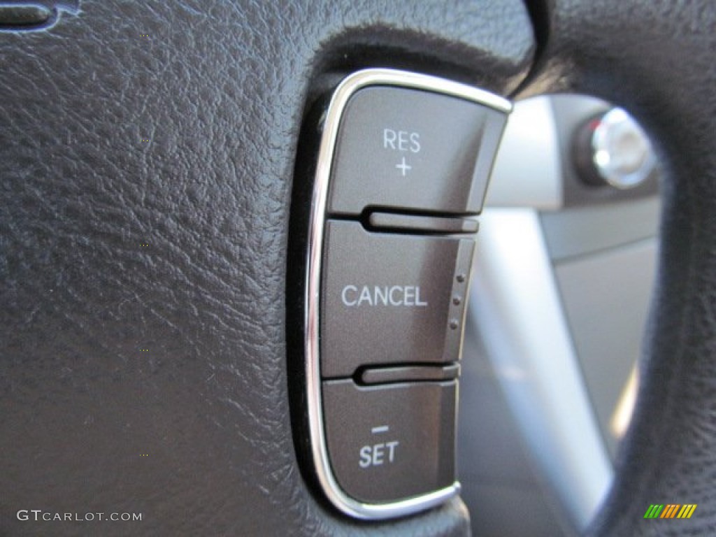 2009 Sonata GLS - Willow Gray / Gray photo #18