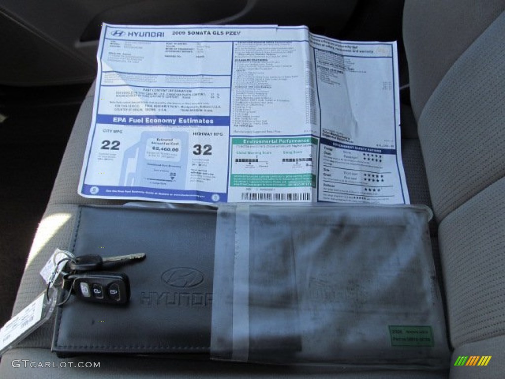 2009 Sonata GLS - Willow Gray / Gray photo #21