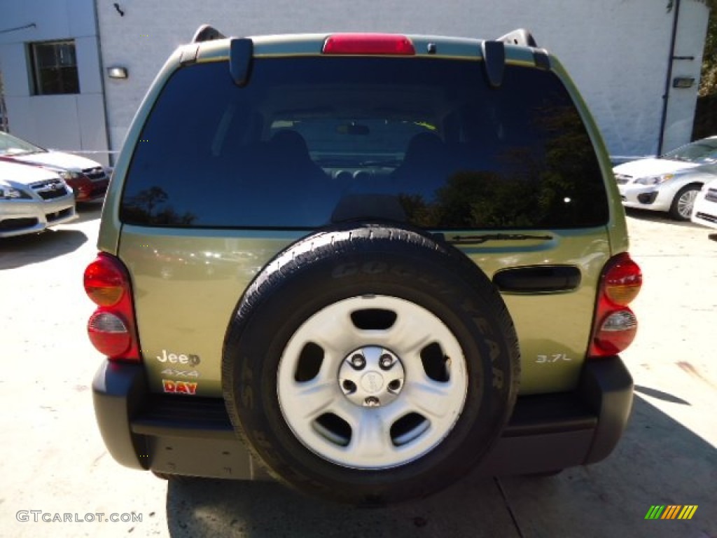 2004 Liberty Sport 4x4 - Cactus Green Pearl / Dark Slate Gray photo #3