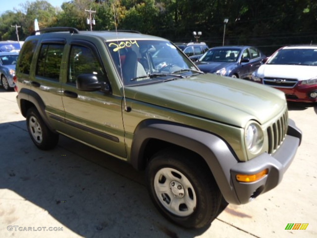 2004 Liberty Sport 4x4 - Cactus Green Pearl / Dark Slate Gray photo #6