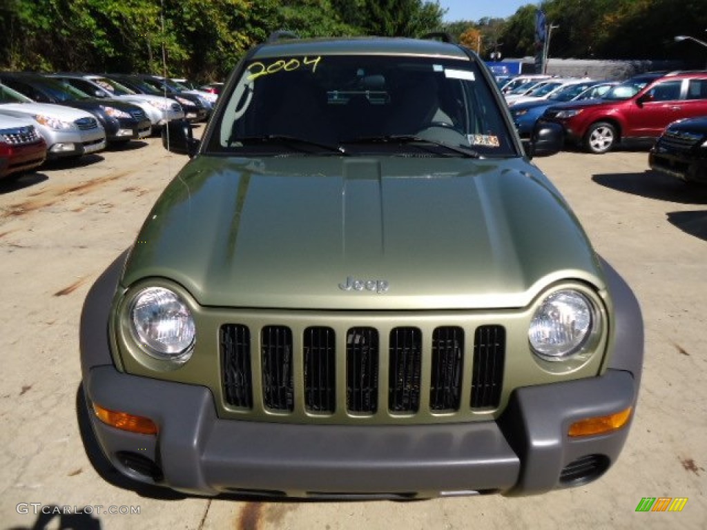 2004 Liberty Sport 4x4 - Cactus Green Pearl / Dark Slate Gray photo #7