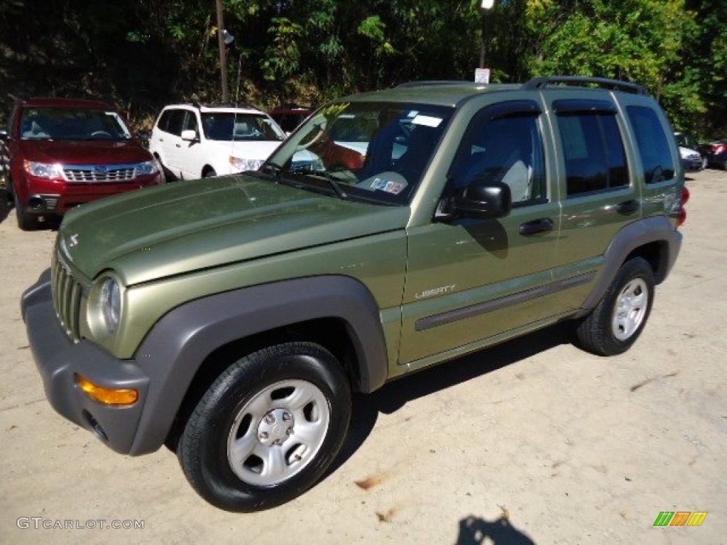 2004 Liberty Sport 4x4 - Cactus Green Pearl / Dark Slate Gray photo #8