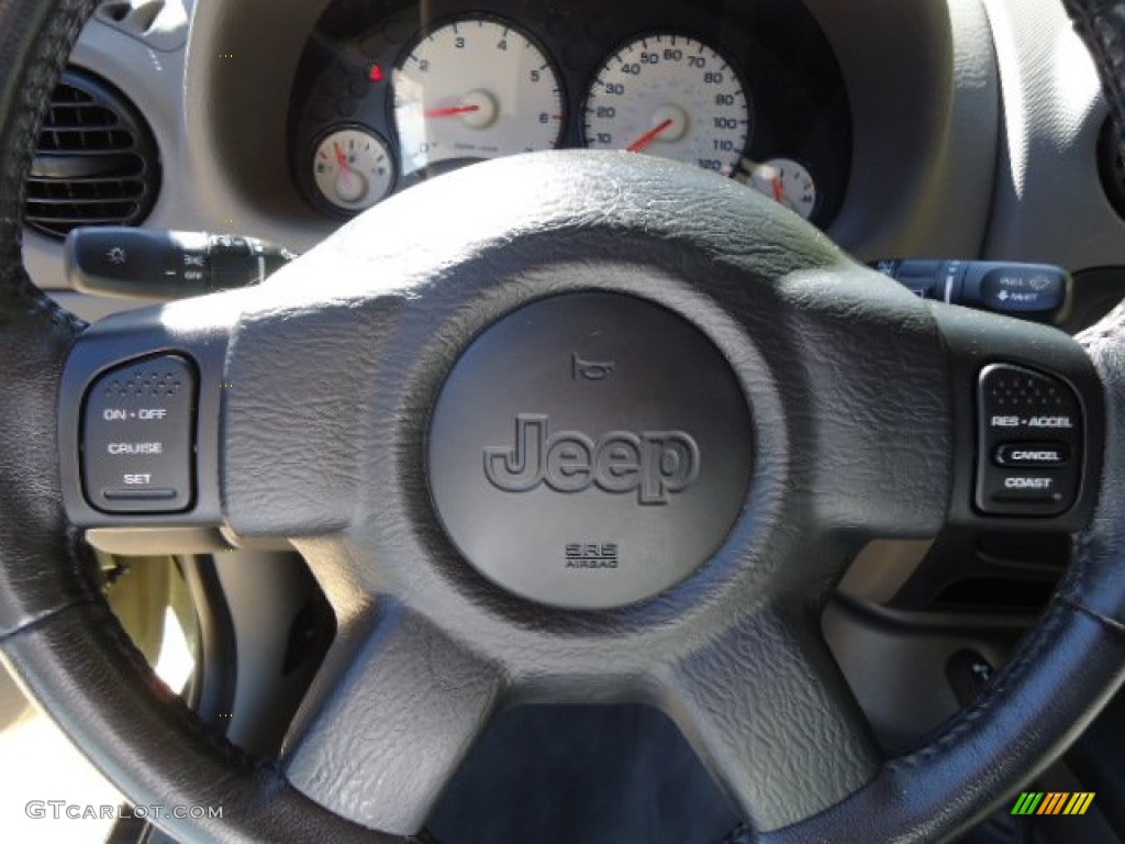 2004 Liberty Sport 4x4 - Cactus Green Pearl / Dark Slate Gray photo #18