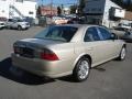 Light French Silk Metallic - LS V8 Photo No. 6