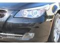 2010 Black Sapphire Metallic BMW 5 Series 528i xDrive Sedan  photo #30