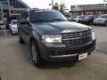 2011 Sterling Grey Metallic Lincoln Navigator Limited Edition  photo #2