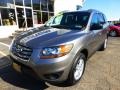 Mineral Gray - Santa Fe GLS AWD Photo No. 8