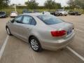 Moonrock Silver Metallic - Jetta SE Sedan Photo No. 5