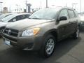 Pyrite Metallic - RAV4 I4 4WD Photo No. 5