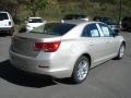 Champagne Silver Metallic - Malibu LT Photo No. 8