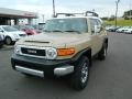 2013 Quicksand Toyota FJ Cruiser 4WD  photo #7