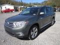 2013 Cypress Green Pearl Toyota Highlander Limited 4WD  photo #3